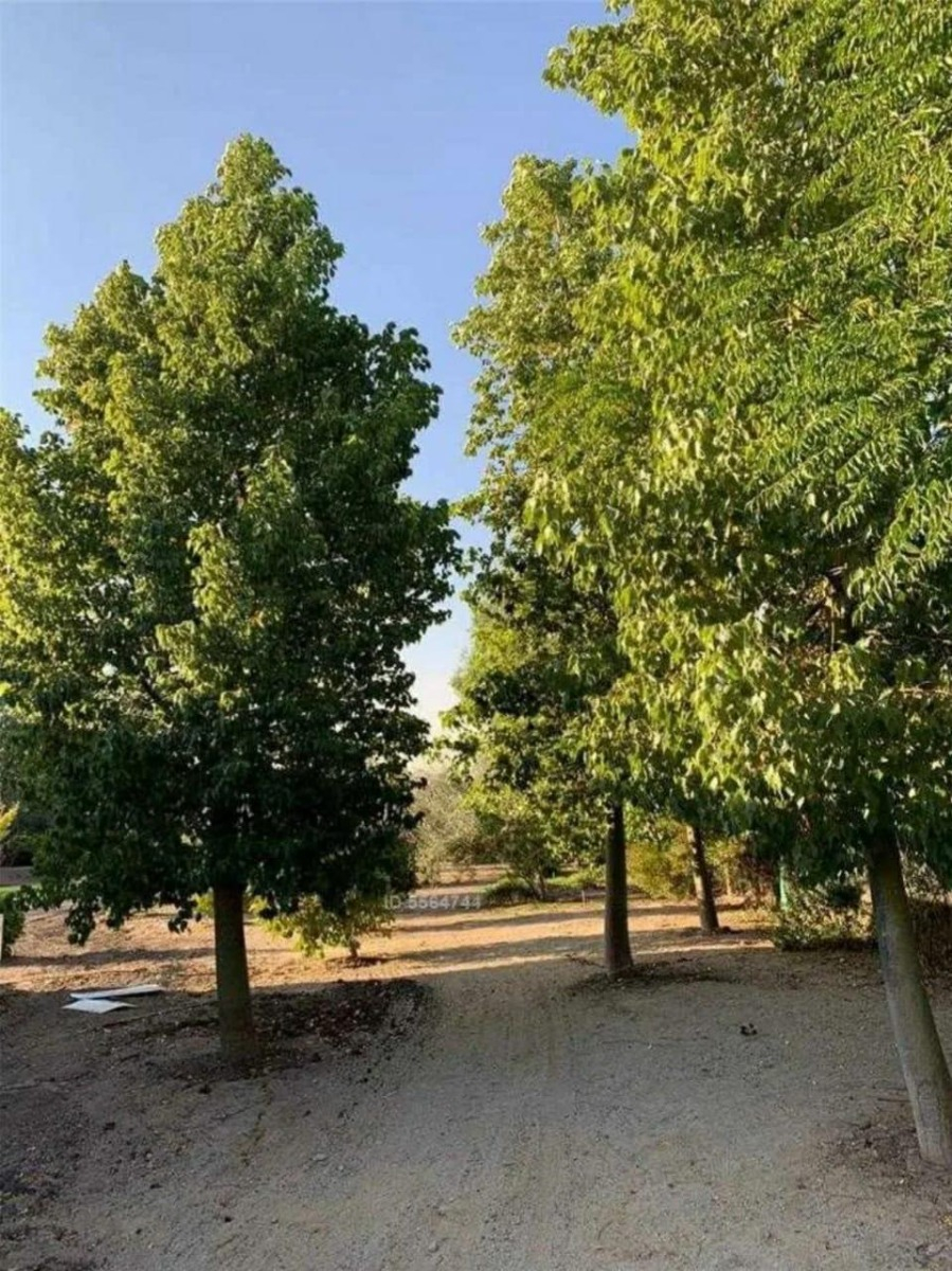 Arriendo Casa N 5D en suite Walk-in cl&oacute;set 4B 8E 2Bd Chicureo - Colina