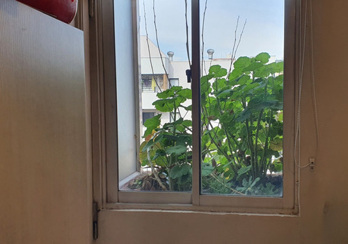 Venta Departamento N 4D 3B 1E 2B Los Leones - Providencia