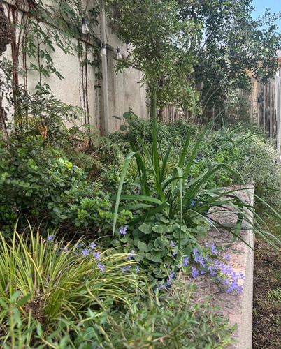 Arriendo Departamento 2D 2B 1E 1B Troncos Viejos - La Reina