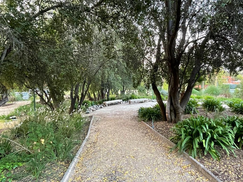 Arriendo Departamento NO 3D en suite Walk-in cl&oacute;set 3B 2E 1B San Carlos de Apoquindo - Las Condes