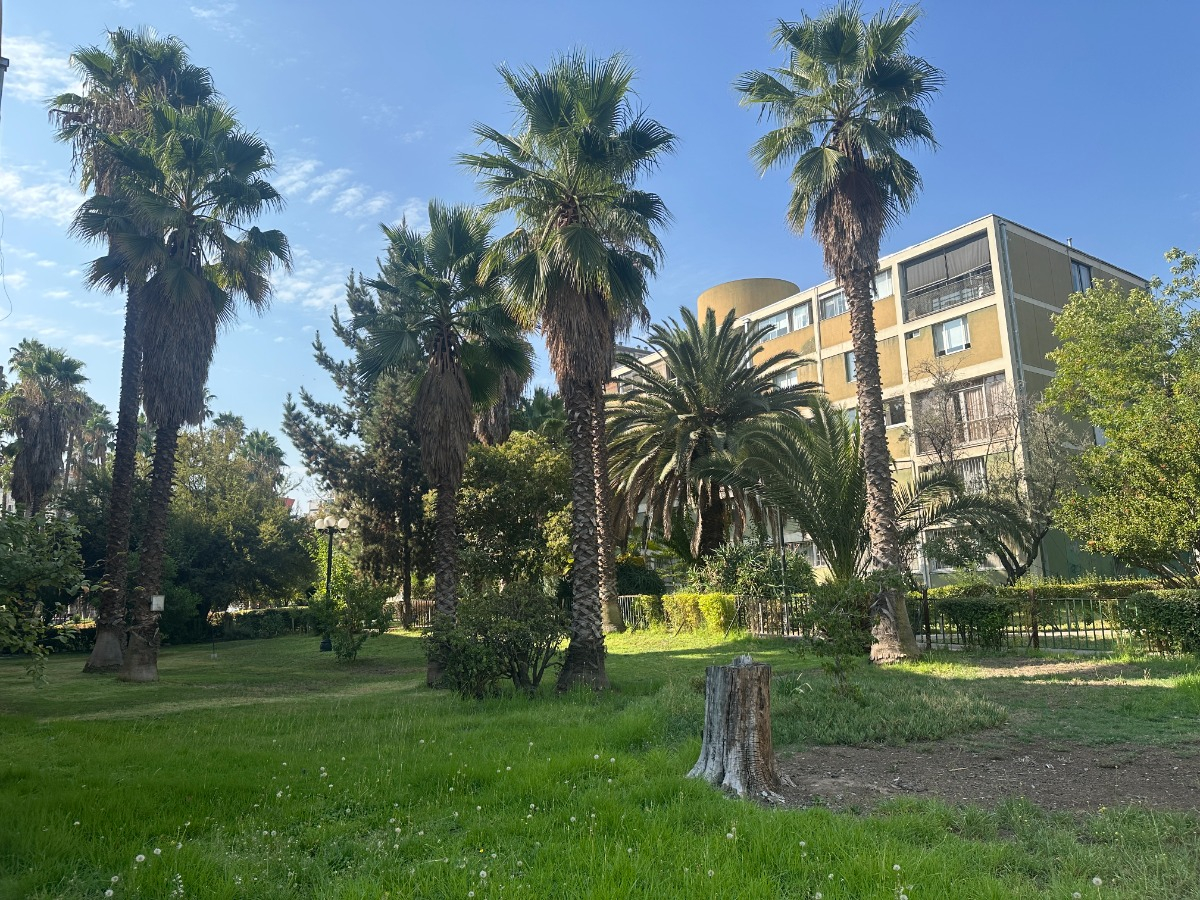 Venta Departamento NO 3D 2B Pedro de Valdivia - Providencia