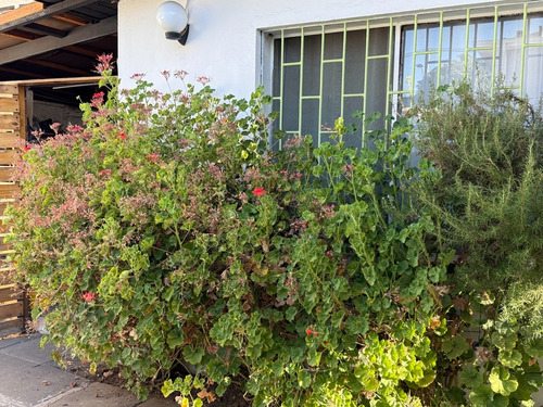 Venta Casa NOSP 3D 1B 2E 1B Diego de Almagro - &Ntilde;u&ntilde;oa