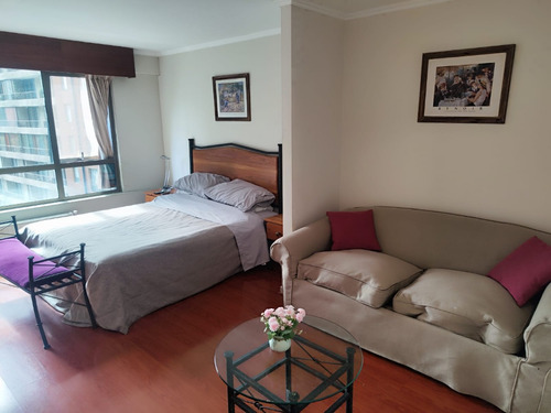 Venta Departamento NO 1D en suite 1B Pedro de Valdivia - Providencia