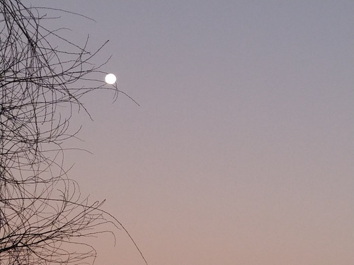 Venta Departamento 2D 1B 1E Pepe Vila - La Reina