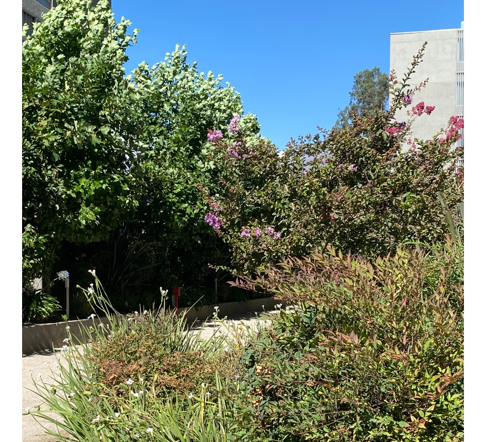 Venta Departamento SP 4D en suite 4B 2E 1Bd Blest Gana - La Reina