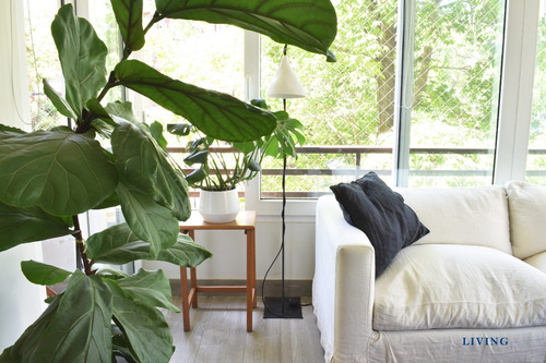 Arriendo Departamento SP 2D en suite Walk-in cl&oacute;set 2B Pedro de Valdivia - Providencia