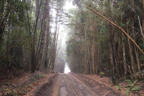 Venta Casa N 5D en suite Walk-in cl&oacute;set 3B 2E  - Puerto Varas