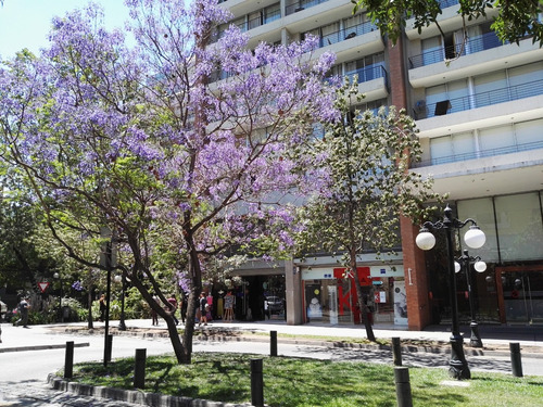 Arriendo Departamento SP 1D en suite Walk-in cl&oacute;set 1B 1B Pedro de Valdivia - Providencia