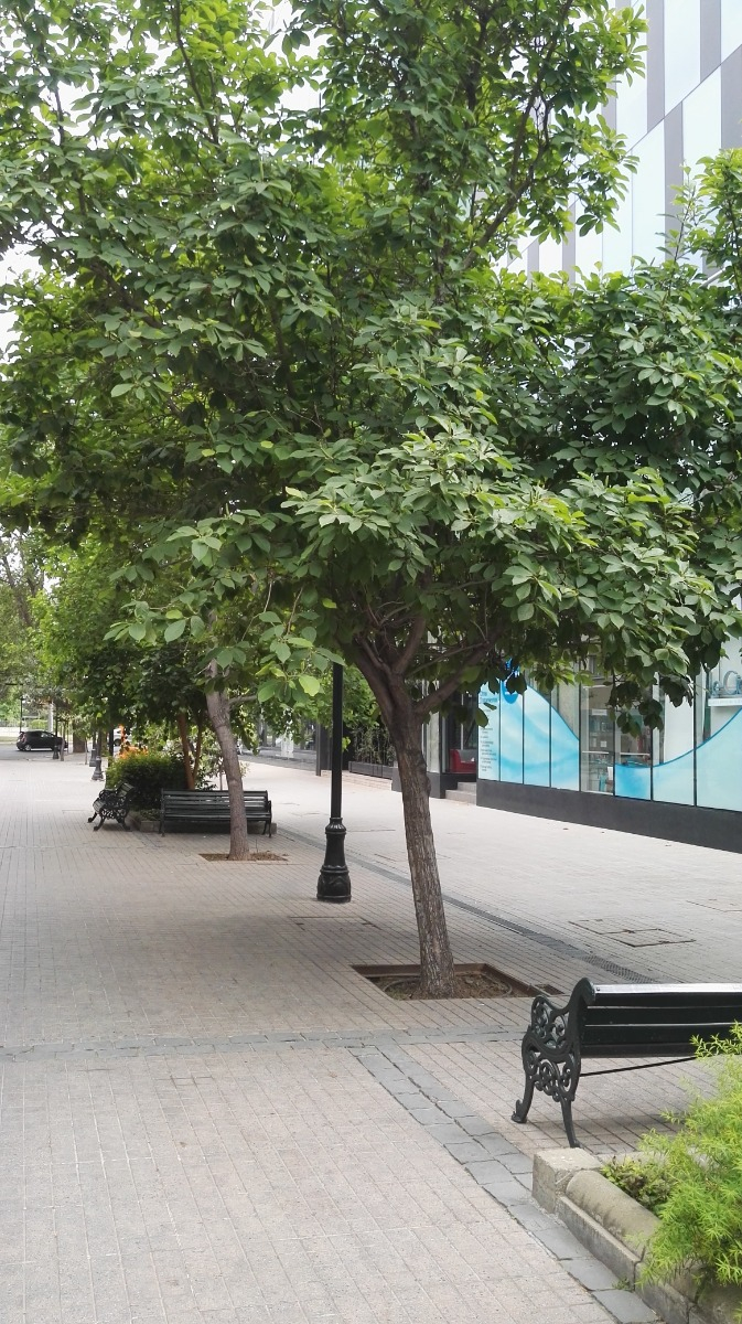 Arriendo Oficina NP 3B 2E 1Bd Los Leones - Providencia