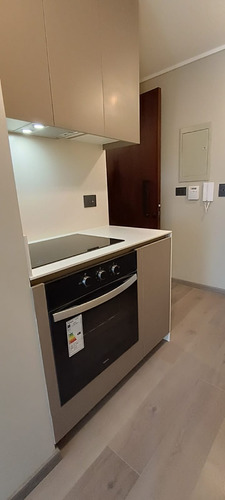 Arriendo Departamento N 1D 2B 1E 1B Las Lilas - Providencia